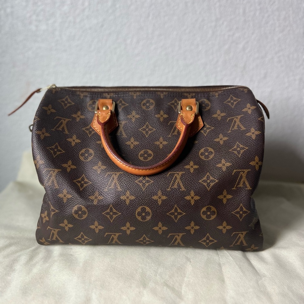 Louis Vuitton Brown and Tan Monogram Bag